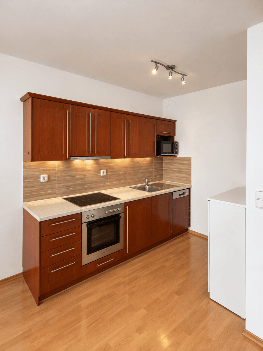 1 bedroom with open-plan kitchen flat to rent, 48 m², Berlínská, Prague, Prague 1 bedroom with open-plan kitchen flat to rent, 48 m², Berlínská, Prague, Prague