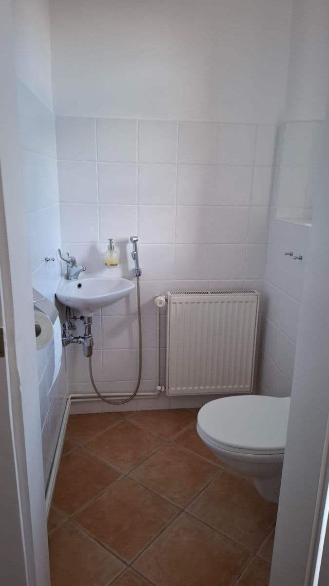 1 bedroom with open-plan kitchen flat to rent, 54 m², Žerotínova, Prague, Prague 1 bedroom with open-plan kitchen flat to rent, 54 m², Žerotínova, Prague, Prague