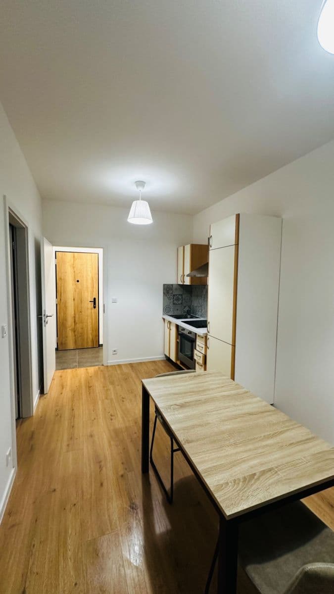 1 bedroom with open-plan kitchen flat to rent, 36 m², Elišky Přemyslovny, Prague, Prague 1 bedroom with open-plan kitchen flat to rent, 36 m², Elišky Přemyslovny, Prague, Prague