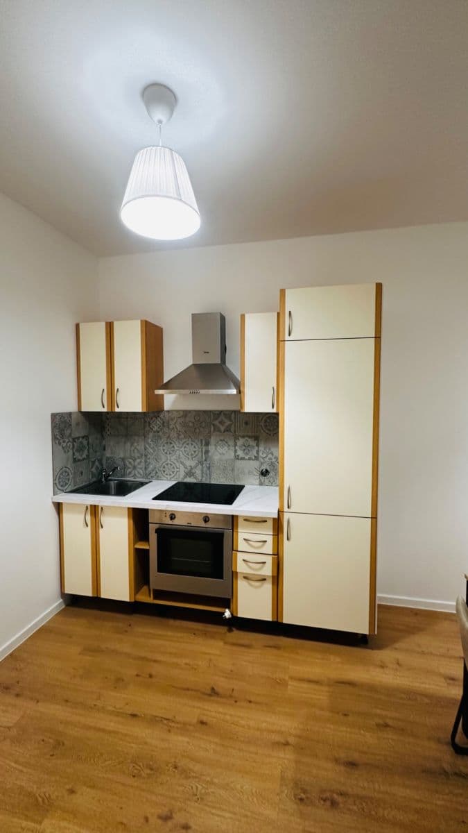 1 bedroom with open-plan kitchen flat to rent, 36 m², Elišky Přemyslovny, Prague, Prague 1 bedroom with open-plan kitchen flat to rent, 36 m², Elišky Přemyslovny, Prague, Prague