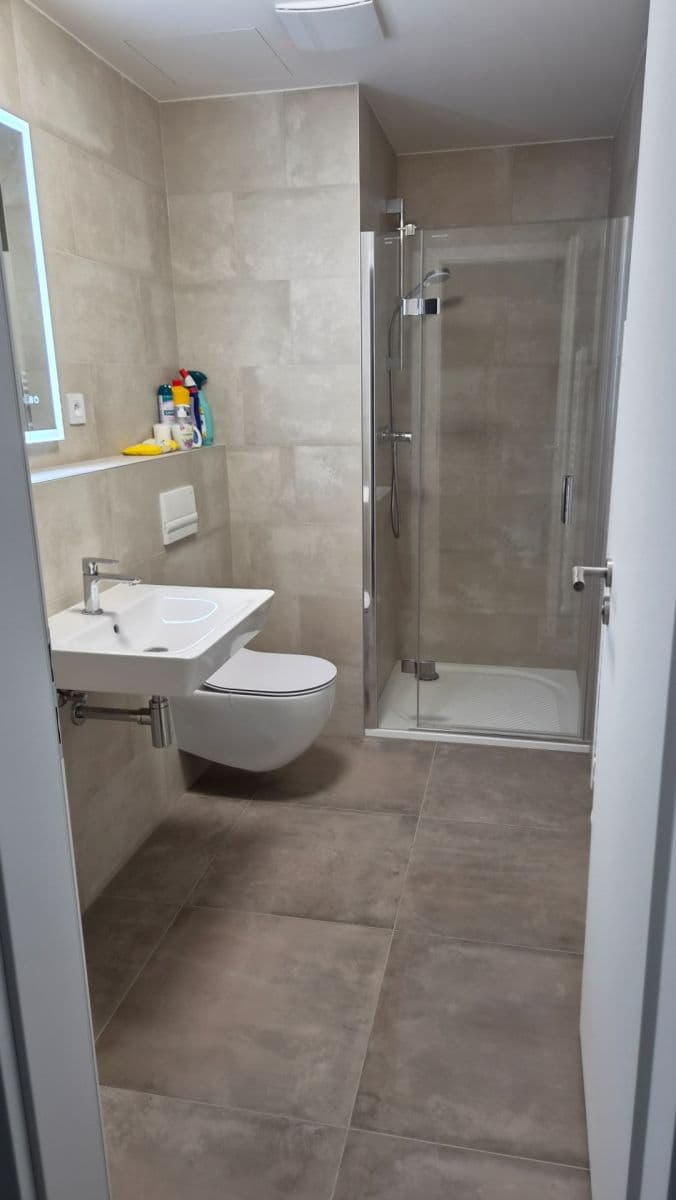 1 bedroom with open-plan kitchen flat to rent, 47 m², Arnošta Valenty, Prague, Prague 1 bedroom with open-plan kitchen flat to rent, 47 m², Arnošta Valenty, Prague, Prague