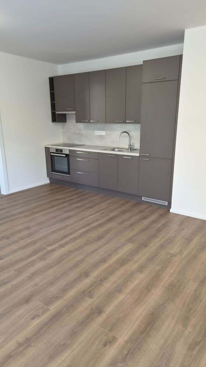 1 bedroom with open-plan kitchen flat to rent, 47 m², Arnošta Valenty, Prague, Prague 1 bedroom with open-plan kitchen flat to rent, 47 m², Arnošta Valenty, Prague, Prague