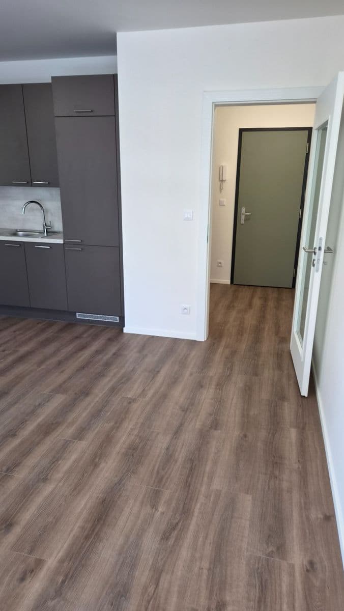 1 bedroom with open-plan kitchen flat to rent, 47 m², Arnošta Valenty, Prague, Prague 1 bedroom with open-plan kitchen flat to rent, 47 m², Arnošta Valenty, Prague, Prague