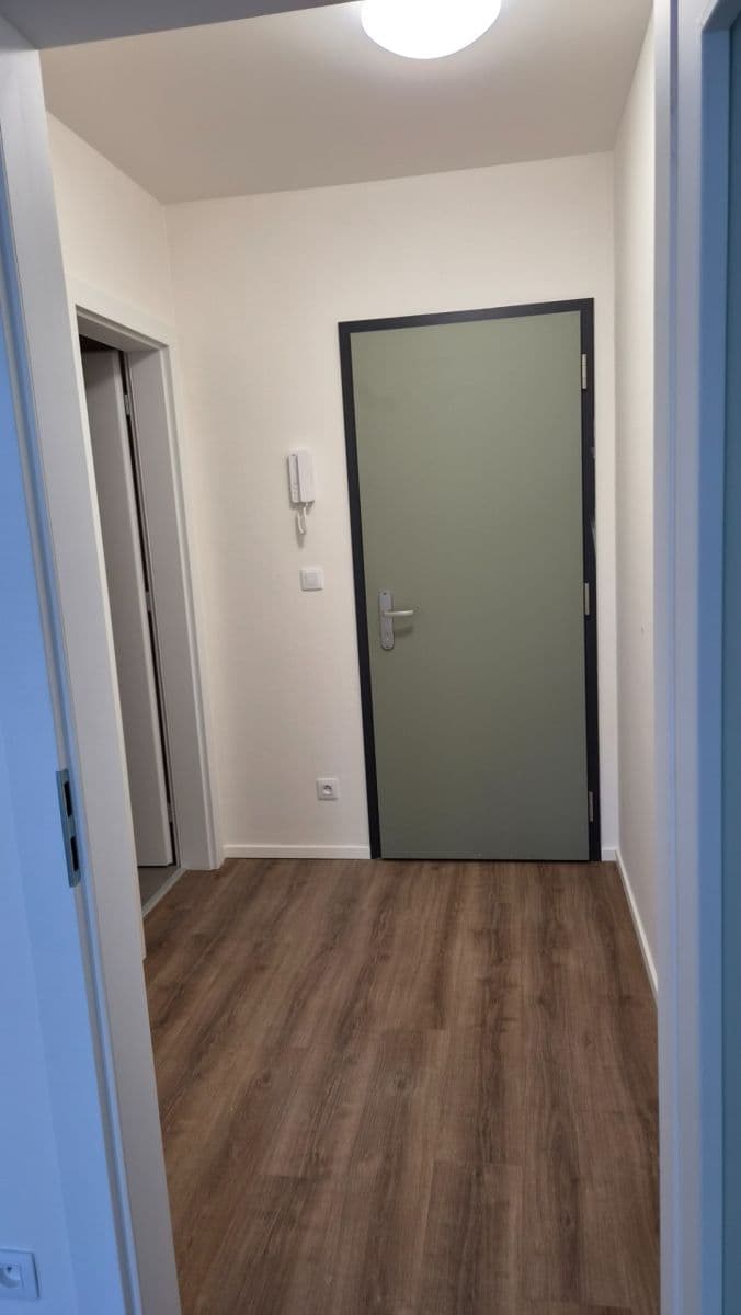 1 bedroom with open-plan kitchen flat to rent, 47 m², Arnošta Valenty, Prague, Prague 1 bedroom with open-plan kitchen flat to rent, 47 m², Arnošta Valenty, Prague, Prague