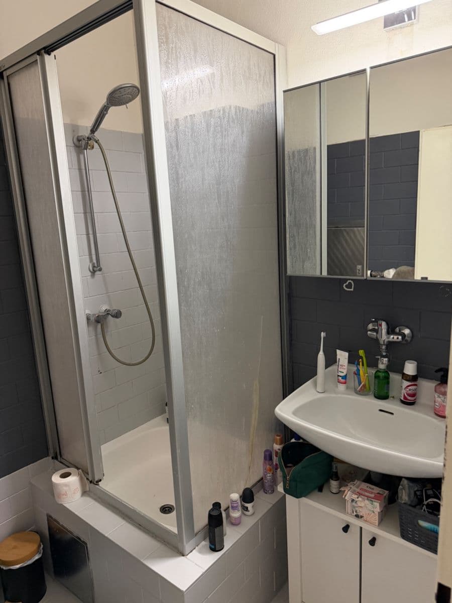 2 bedroom with open-plan kitchen flat to rent, 109 m², Jeremenkova, Prague, Prague 2 bedroom with open-plan kitchen flat to rent, 109 m², Jeremenkova, Prague, Prague
