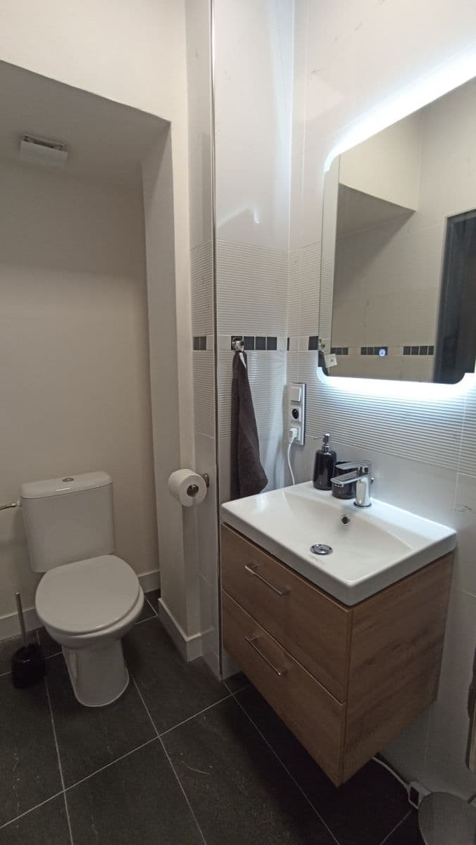 Studio flat to rent, 1 m², V Brůdku, Prague, Prague Studio flat to rent, 1 m², V Brůdku, Prague, Prague