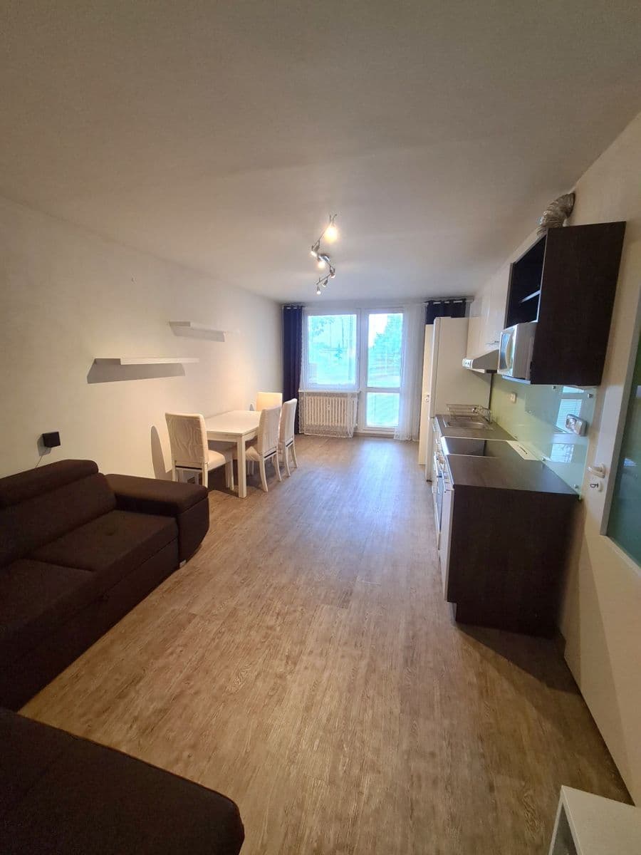 1 bedroom with open-plan kitchen flat to rent, 46 m², Bouřilova, Prague, Prague 1 bedroom with open-plan kitchen flat to rent, 46 m², Bouřilova, Prague, Prague