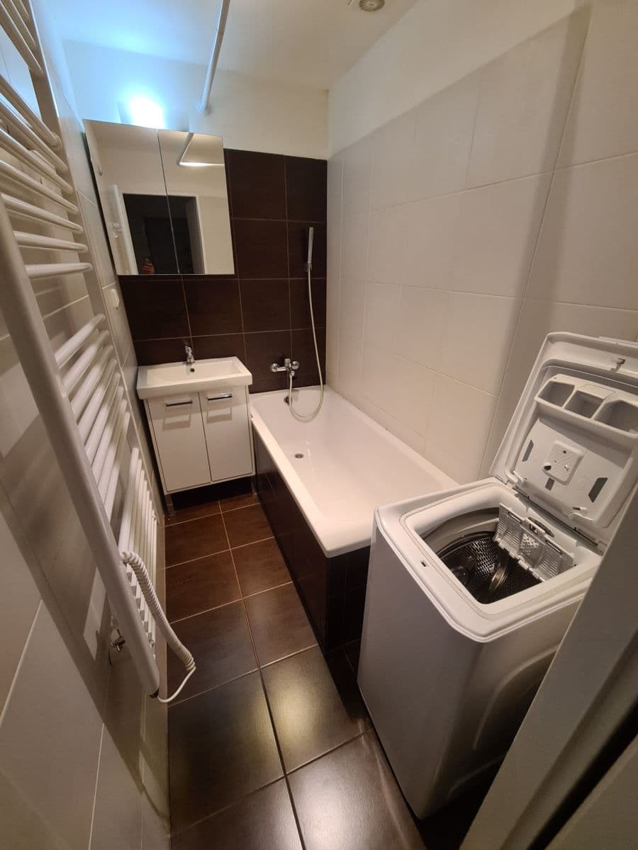 1 bedroom with open-plan kitchen flat to rent, 46 m², Bouřilova, Prague, Prague 1 bedroom with open-plan kitchen flat to rent, 46 m², Bouřilova, Prague, Prague
