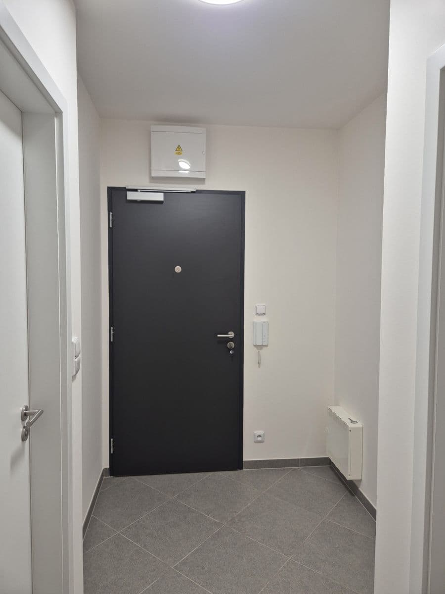 1 bedroom with open-plan kitchen flat to rent, 43 m², Pod Harfou, Prague, Prague 1 bedroom with open-plan kitchen flat to rent, 43 m², Pod Harfou, Prague, Prague