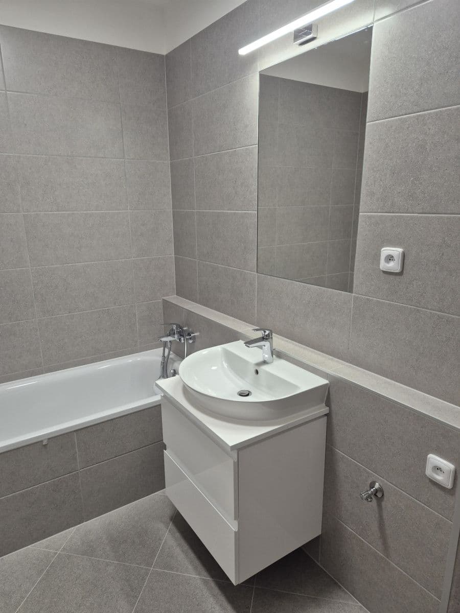 1 bedroom with open-plan kitchen flat to rent, 43 m², Pod Harfou, Prague, Prague 1 bedroom with open-plan kitchen flat to rent, 43 m², Pod Harfou, Prague, Prague