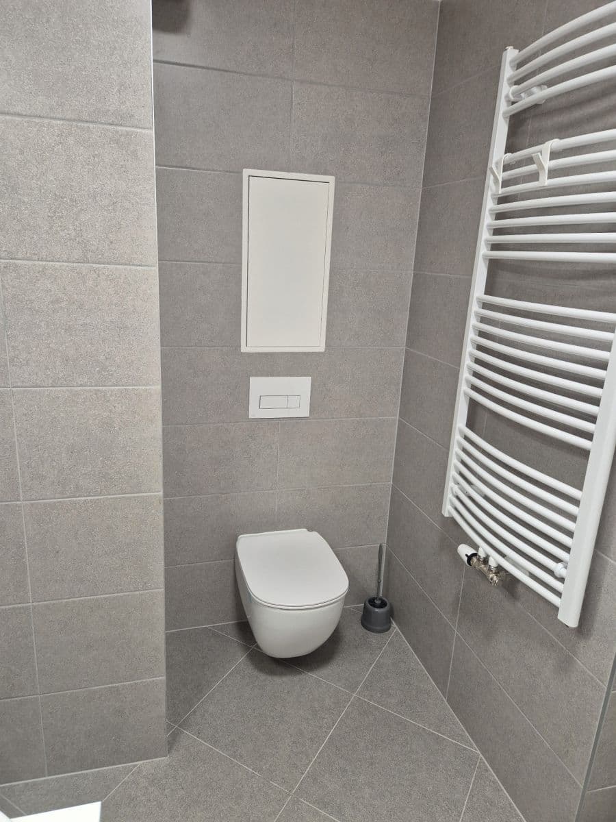 1 bedroom with open-plan kitchen flat to rent, 43 m², Pod Harfou, Prague, Prague 1 bedroom with open-plan kitchen flat to rent, 43 m², Pod Harfou, Prague, Prague