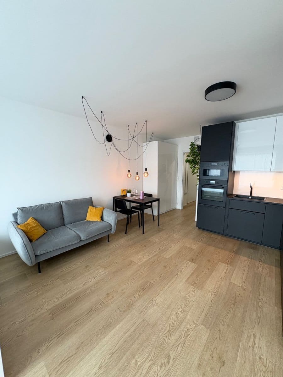 Studio flat to rent, 40 m², Skálové, Prague, Prague Studio flat to rent, 40 m², Skálové, Prague, Prague