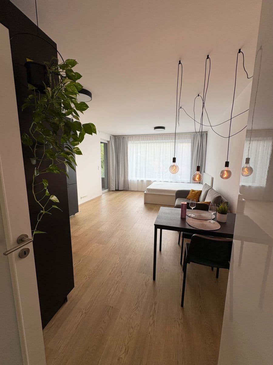 Studio flat to rent, 40 m², Skálové, Prague, Prague Studio flat to rent, 40 m², Skálové, Prague, Prague
