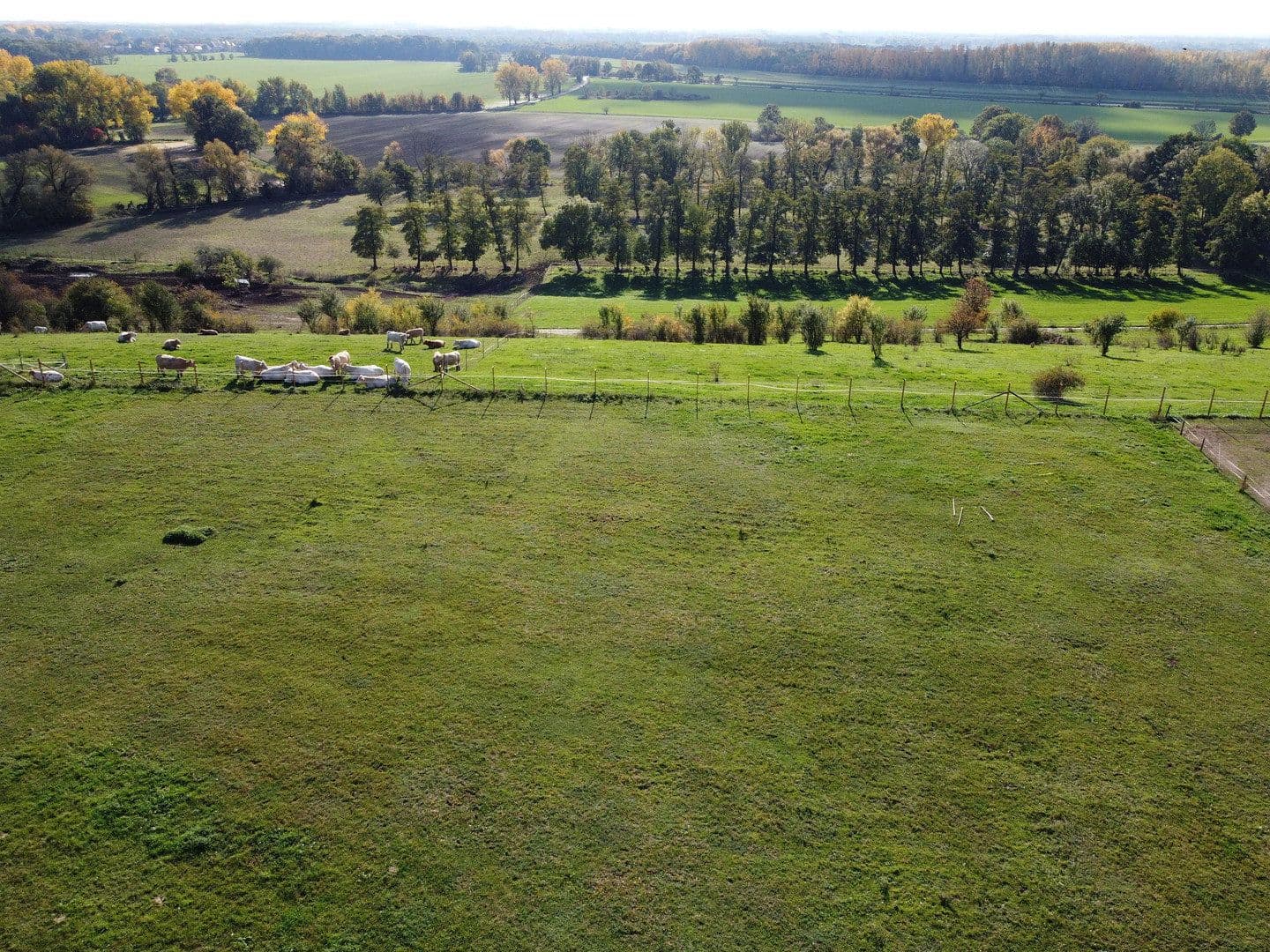 plot for sale, 660 m², Röglitzer Hauptstraße 40d, Schkopau, Saxony-Anhalt plot for sale, 660 m², Röglitzer Hauptstraße 40d, Schkopau, Saxony-Anhalt
