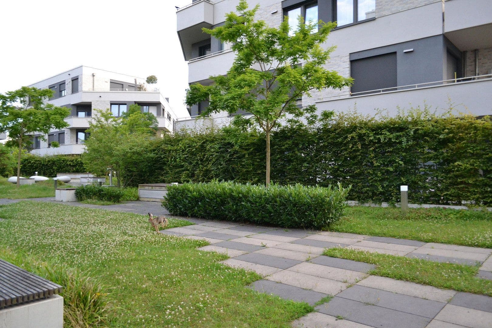 3 bedroom flat to rent, 87 m², Ella-Bergmann-Michel-Str. 1, Frankfurt, Hesse 3 bedroom flat to rent, 87 m², Ella-Bergmann-Michel-Str. 1, Frankfurt, Hesse