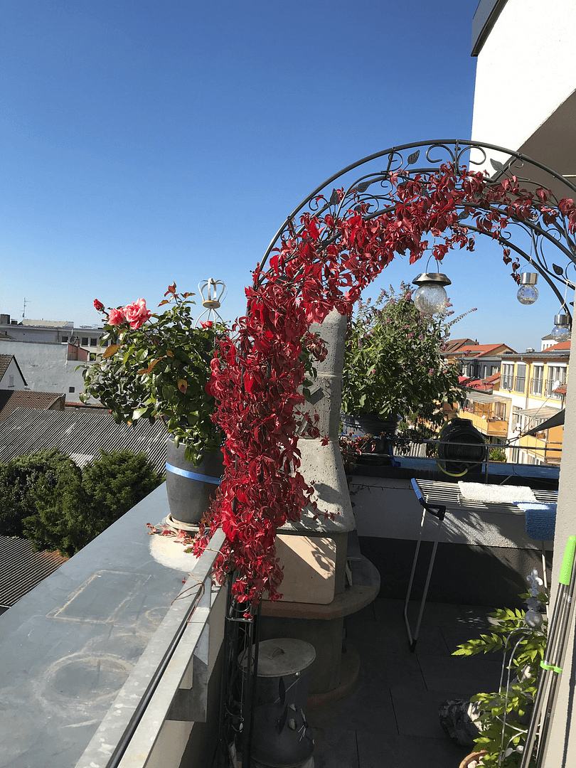 3 bedroom flat for sale, 124 m², Darmstadt, Hesse 3 bedroom flat for sale, 124 m², Darmstadt, Hesse