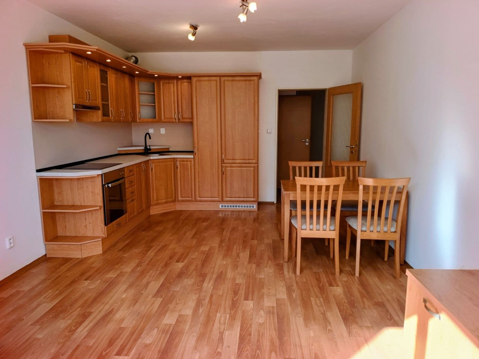 1 bedroom with open-plan kitchen flat to rent, 54 m², Herlíkovická, Prague, Prague 1 bedroom with open-plan kitchen flat to rent, 54 m², Herlíkovická, Prague, Prague