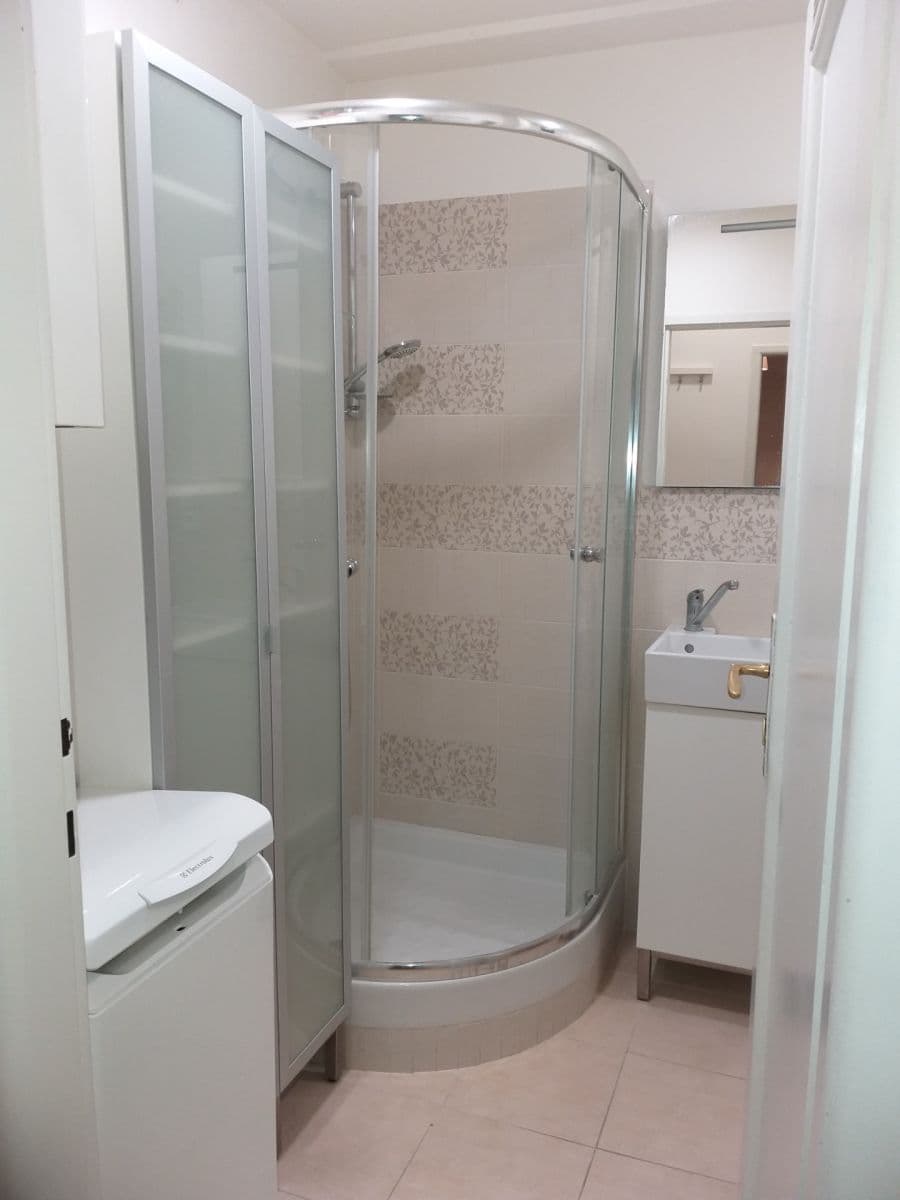 1 bedroom with open-plan kitchen flat to rent, 42 m², Osadní, Prague, Prague 1 bedroom with open-plan kitchen flat to rent, 42 m², Osadní, Prague, Prague