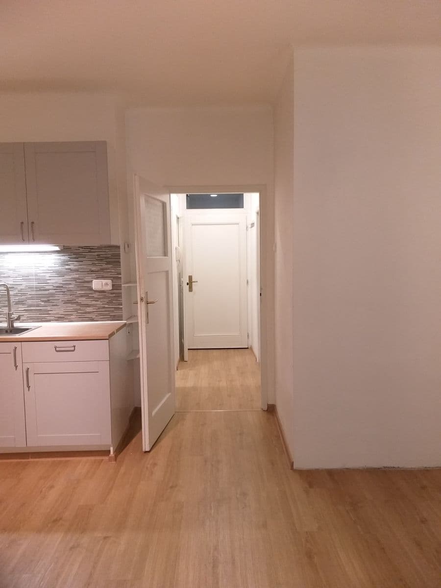 1 bedroom with open-plan kitchen flat to rent, 42 m², Osadní, Prague, Prague 1 bedroom with open-plan kitchen flat to rent, 42 m², Osadní, Prague, Prague