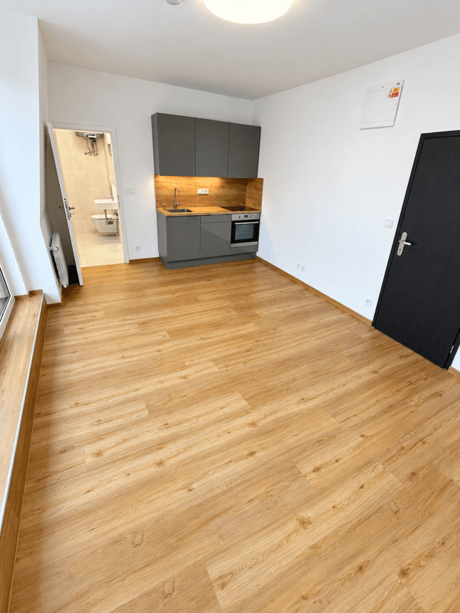 1 bedroom with open-plan kitchen flat to rent, 40 m², Pod Stárkou, Prague, Prague 1 bedroom with open-plan kitchen flat to rent, 40 m², Pod Stárkou, Prague, Prague