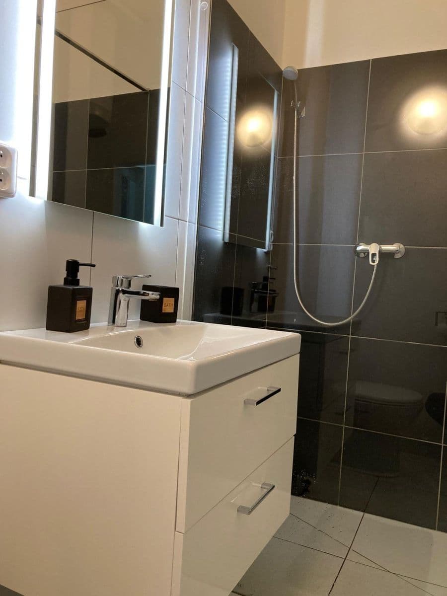 flat to rent, 35 m², Ve Struhách, Prague, Prague flat to rent, 35 m², Ve Struhách, Prague, Prague
