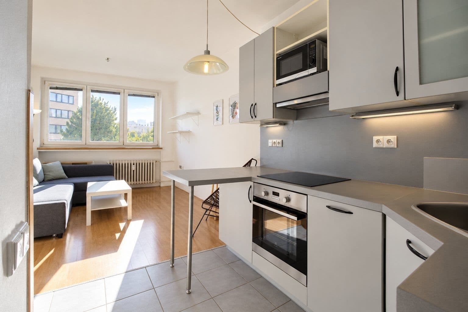 1 bedroom with open-plan kitchen flat to rent, 37 m², Křivá, Prague, Prague 1 bedroom with open-plan kitchen flat to rent, 37 m², Křivá, Prague, Prague