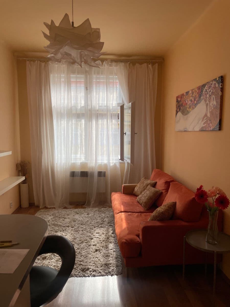 1 bedroom with open-plan kitchen flat to rent, 49 m², Písecká, Prague, Prague 1 bedroom with open-plan kitchen flat to rent, 49 m², Písecká, Prague, Prague