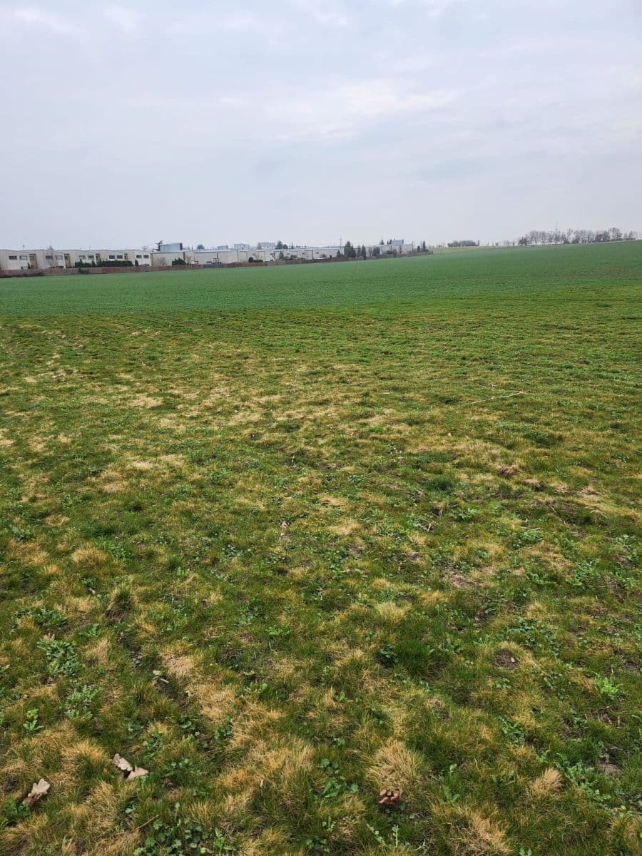 plot for sale, 12,054 m², Zeleneč, Středočeský Region plot for sale, 12,054 m², Zeleneč, Středočeský Region