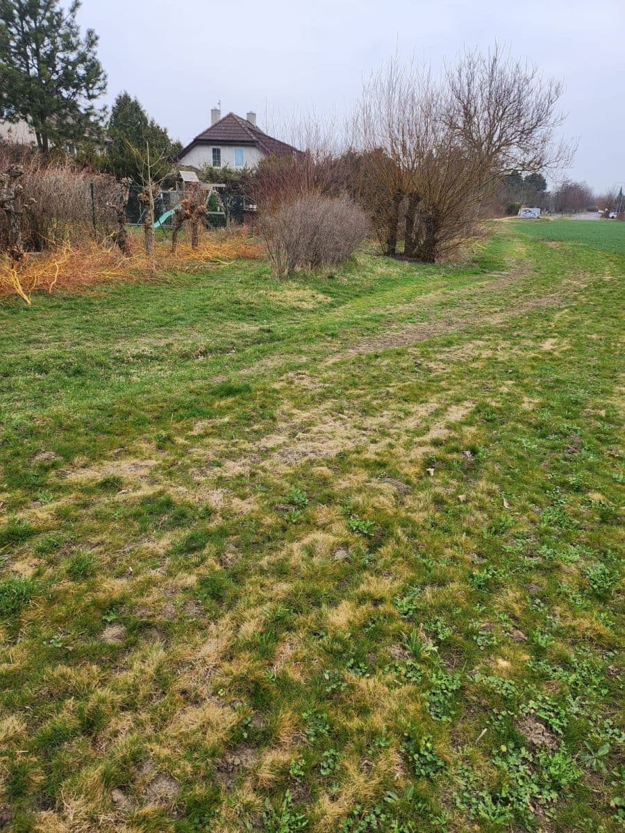 plot for sale, 12,054 m², Zeleneč, Středočeský Region plot for sale, 12,054 m², Zeleneč, Středočeský Region