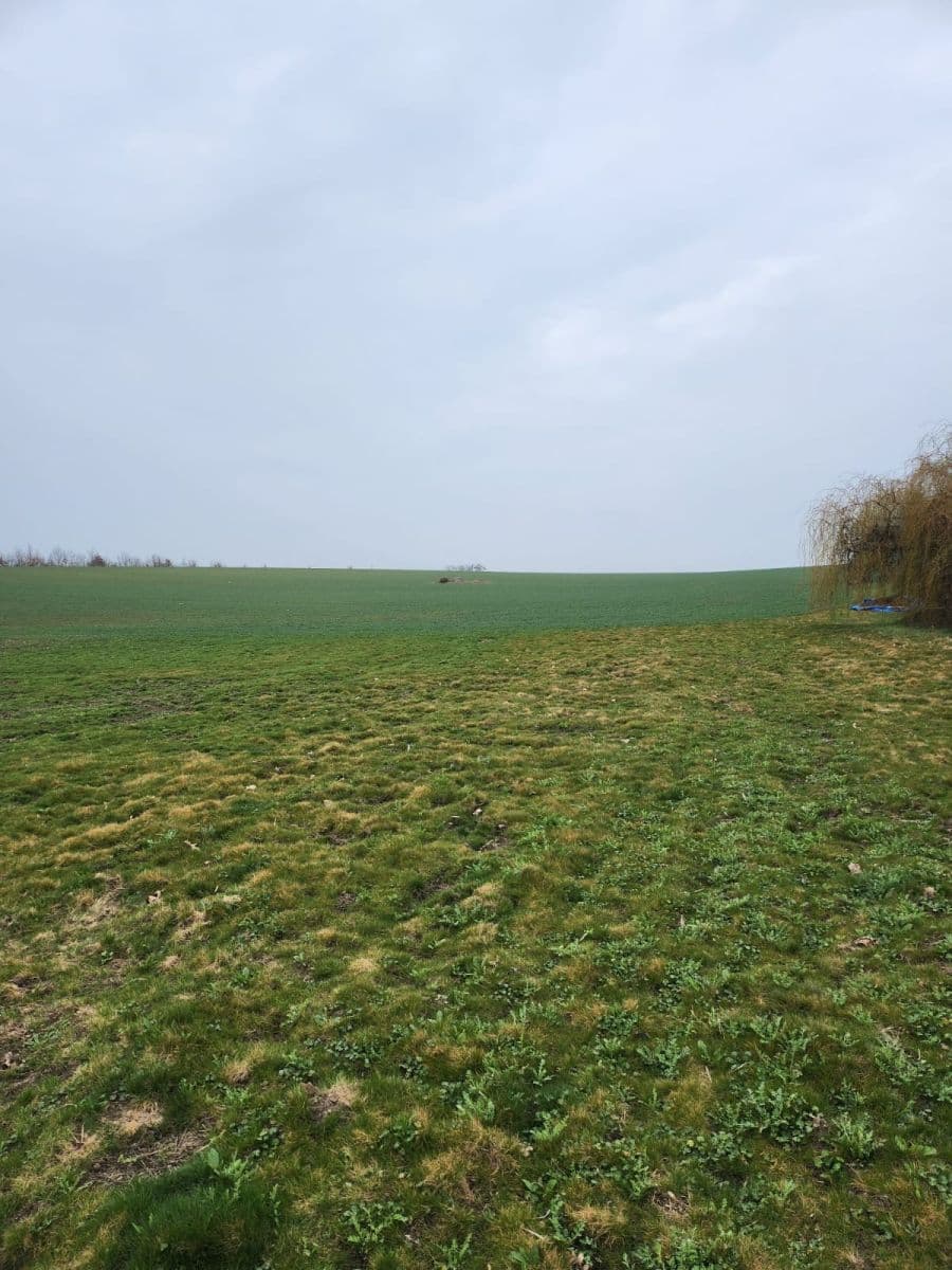 plot for sale, 12,054 m², Zeleneč, Středočeský Region plot for sale, 12,054 m², Zeleneč, Středočeský Region
