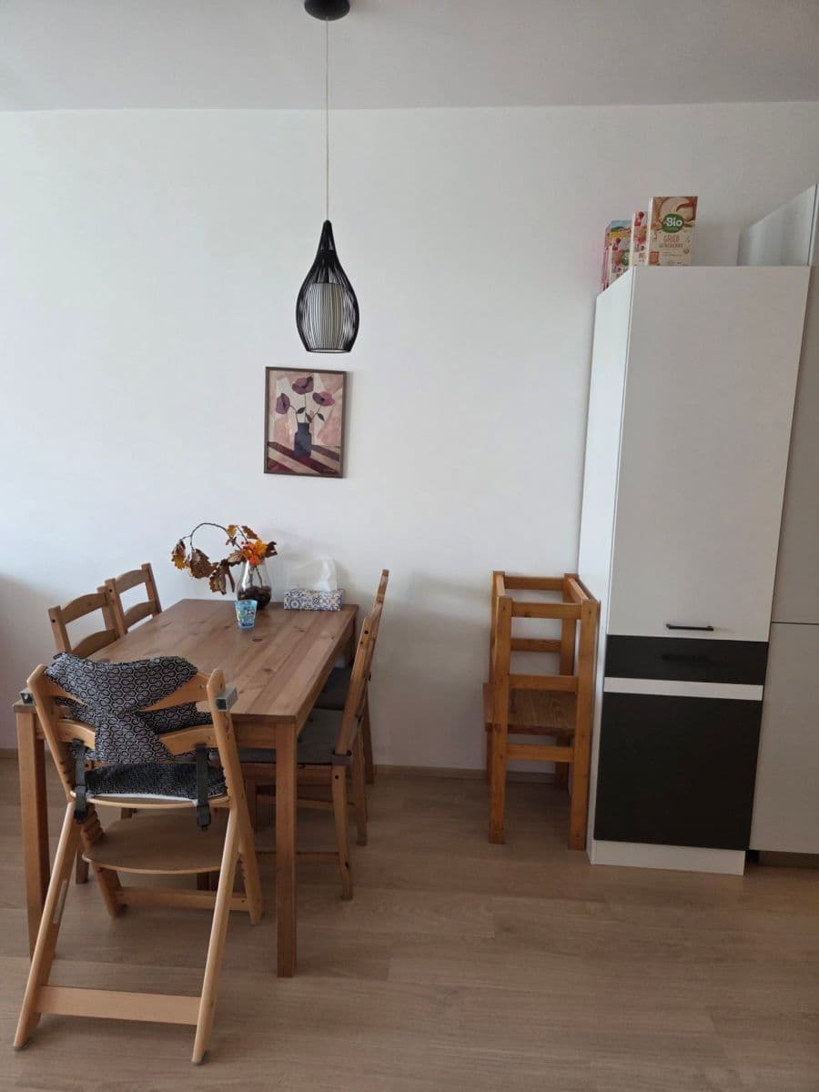 1 bedroom with open-plan kitchen flat to rent, 59 m², U Parketárny, Unhošť, Středočeský Region 1 bedroom with open-plan kitchen flat to rent, 59 m², U Parketárny, Unhošť, Středočeský Region