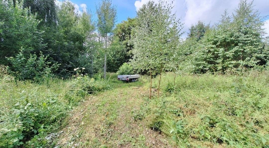 plot for sale, 4,500 m², Weidenhüll bei Leienfels 1, Pottenstein, Bavaria plot for sale, 4,500 m², Weidenhüll bei Leienfels 1, Pottenstein, Bavaria
