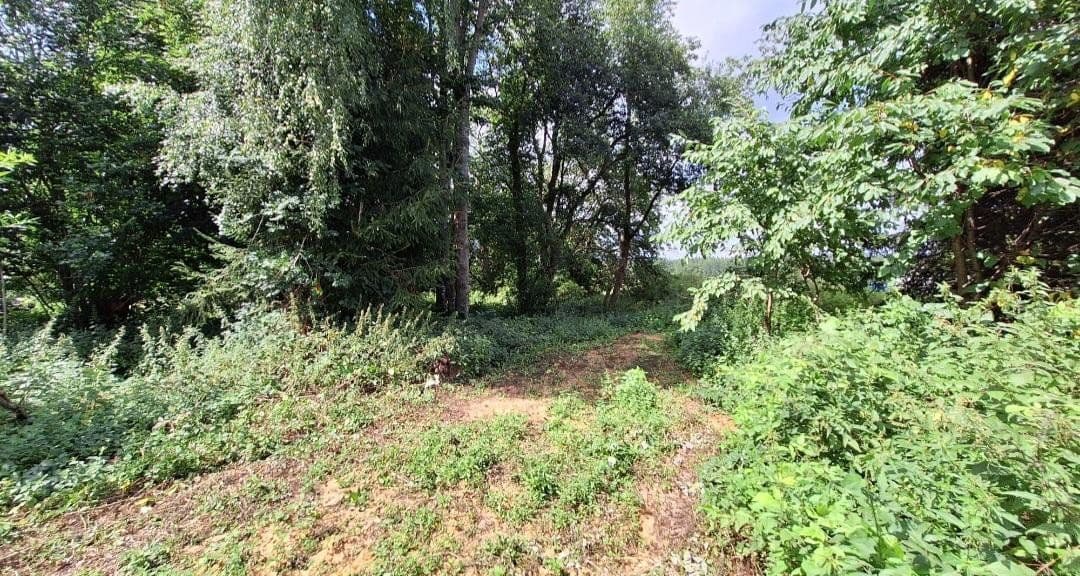 plot for sale, 4,500 m², Weidenhüll bei Leienfels 1, Pottenstein, Bavaria plot for sale, 4,500 m², Weidenhüll bei Leienfels 1, Pottenstein, Bavaria