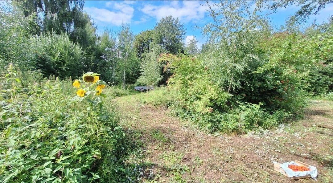 plot for sale, 4,500 m², Weidenhüll bei Leienfels 1, Pottenstein, Bavaria plot for sale, 4,500 m², Weidenhüll bei Leienfels 1, Pottenstein, Bavaria