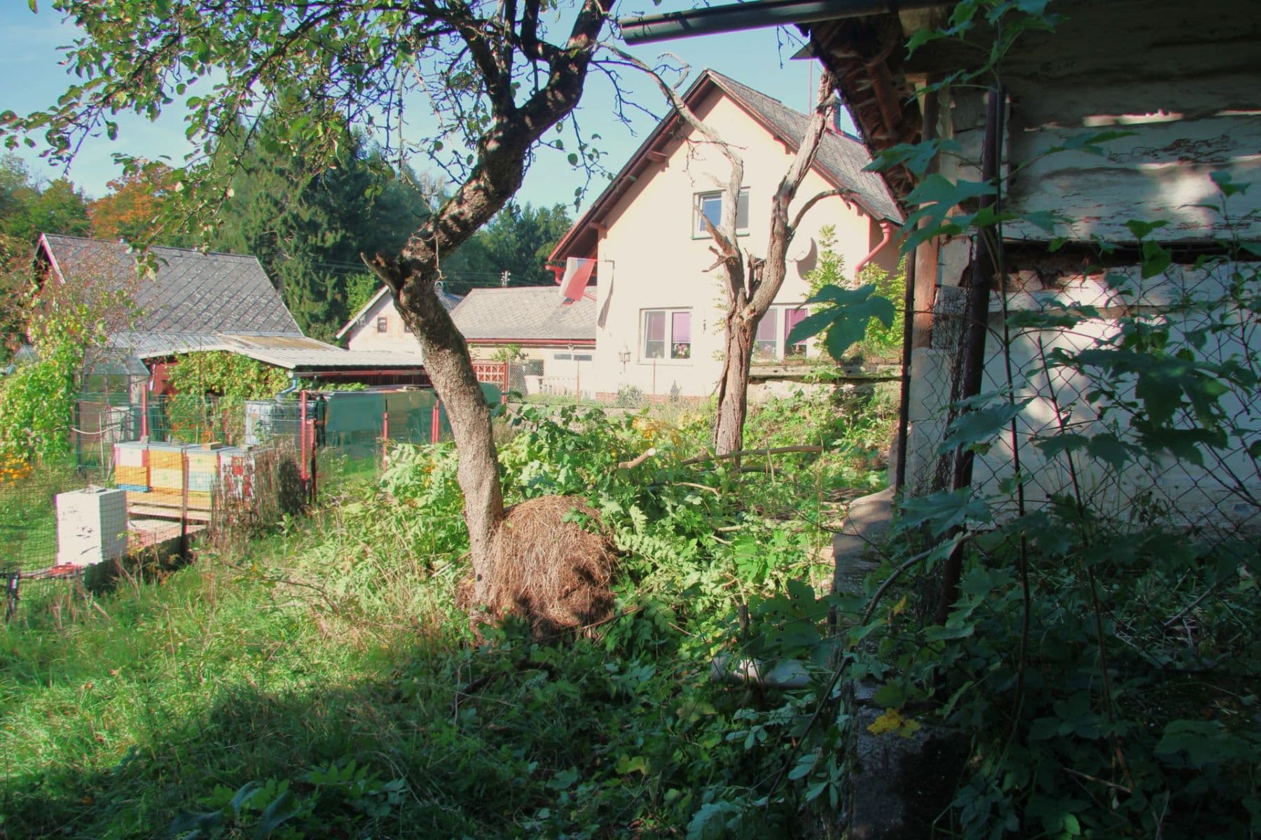 plot for sale, 7,344 m², Betlém, Žamberk, Pardubický Region plot for sale, 7,344 m², Betlém, Žamberk, Pardubický Region