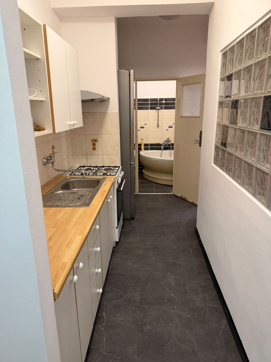 1 bedroom with open-plan kitchen flat to rent, 49 m², Za Hládkovem, Prague, Prague 1 bedroom with open-plan kitchen flat to rent, 49 m², Za Hládkovem, Prague, Prague