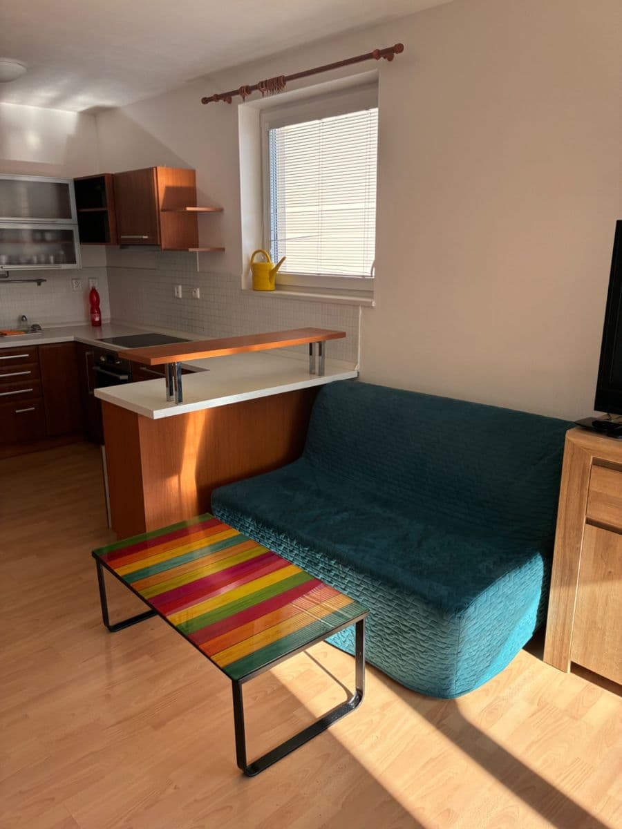 1 bedroom with open-plan kitchen flat to rent, 64 m², Bělohorská, Brno, Jihomoravský Region 1 bedroom with open-plan kitchen flat to rent, 64 m², Bělohorská, Brno, Jihomoravský Region