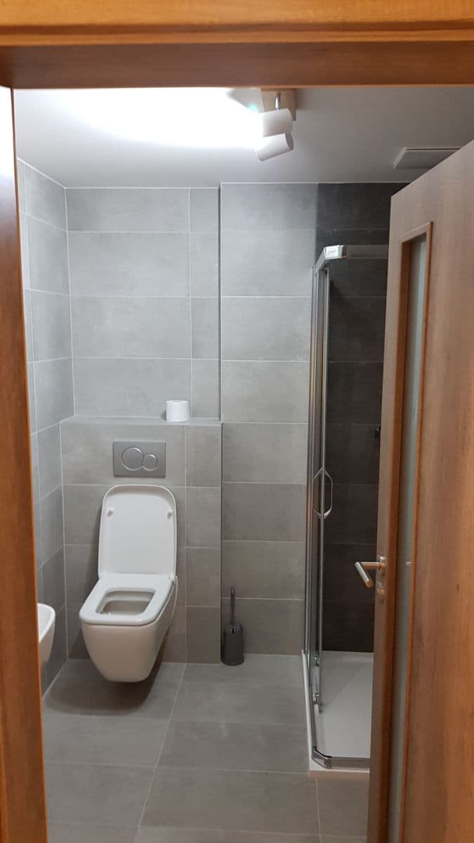 1 bedroom with open-plan kitchen flat to rent, 50 m², Želetická, Prague, Prague 1 bedroom with open-plan kitchen flat to rent, 50 m², Želetická, Prague, Prague