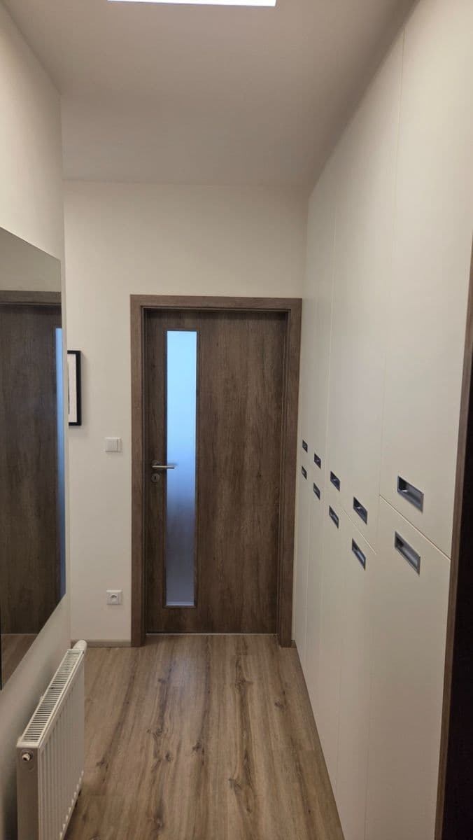 1 bedroom with open-plan kitchen flat to rent, 50 m², Želetická, Prague, Prague 1 bedroom with open-plan kitchen flat to rent, 50 m², Želetická, Prague, Prague