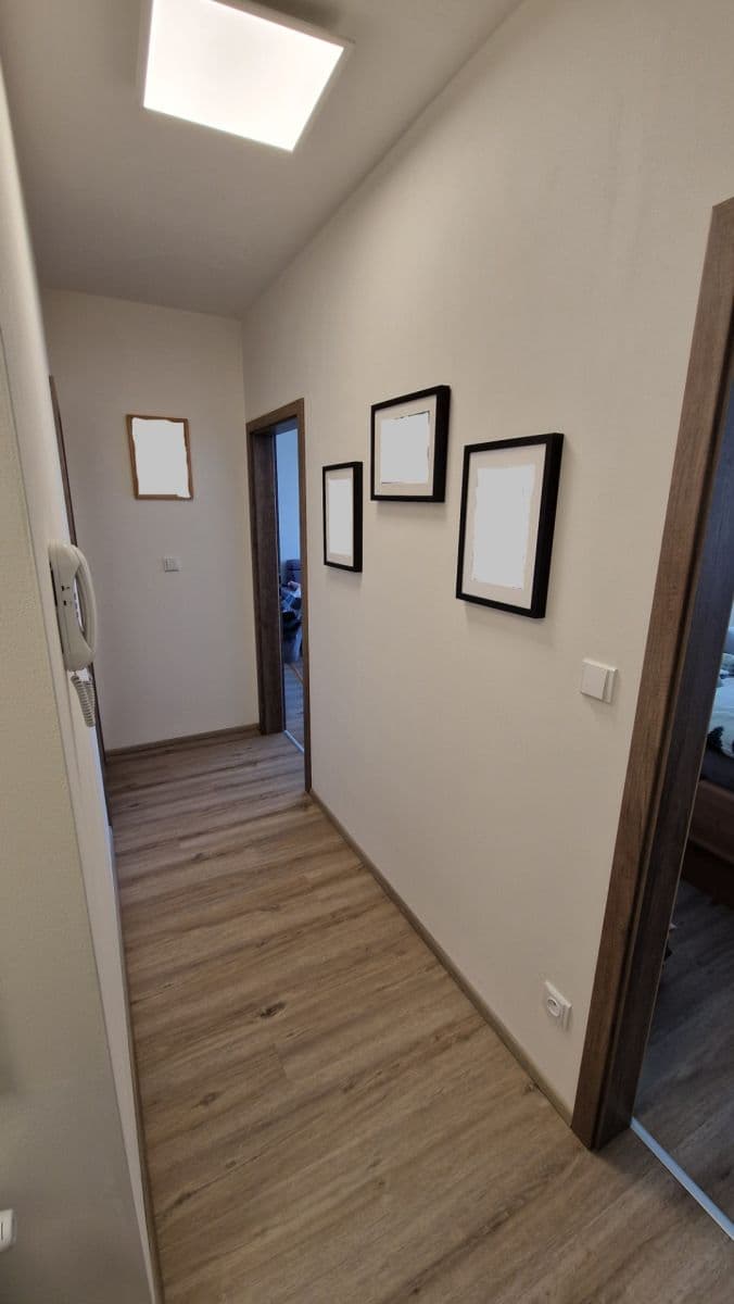1 bedroom with open-plan kitchen flat to rent, 50 m², Želetická, Prague, Prague 1 bedroom with open-plan kitchen flat to rent, 50 m², Želetická, Prague, Prague