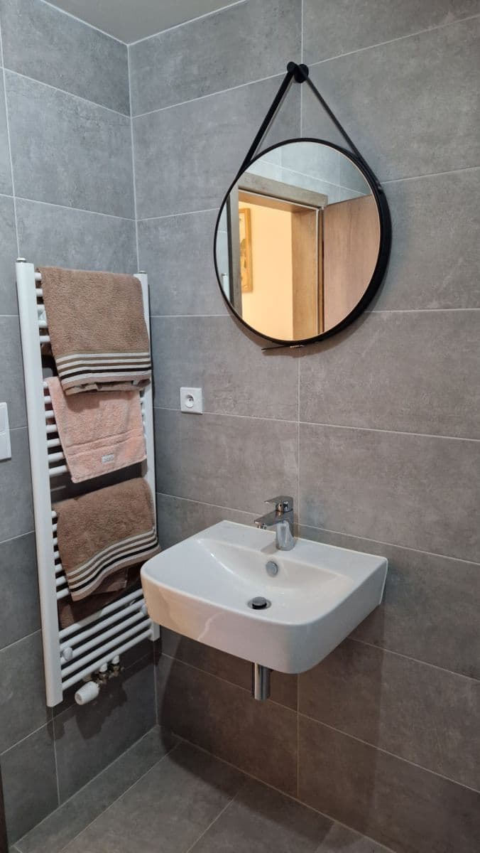 1 bedroom with open-plan kitchen flat to rent, 50 m², Želetická, Prague, Prague 1 bedroom with open-plan kitchen flat to rent, 50 m², Želetická, Prague, Prague