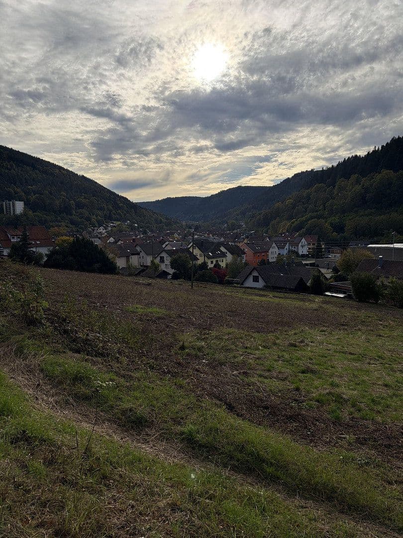 plot for sale, 4,300 m², Höfener Straße, Bad Wildbad, Baden-Württemberg plot for sale, 4,300 m², Höfener Straße, Bad Wildbad, Baden-Württemberg