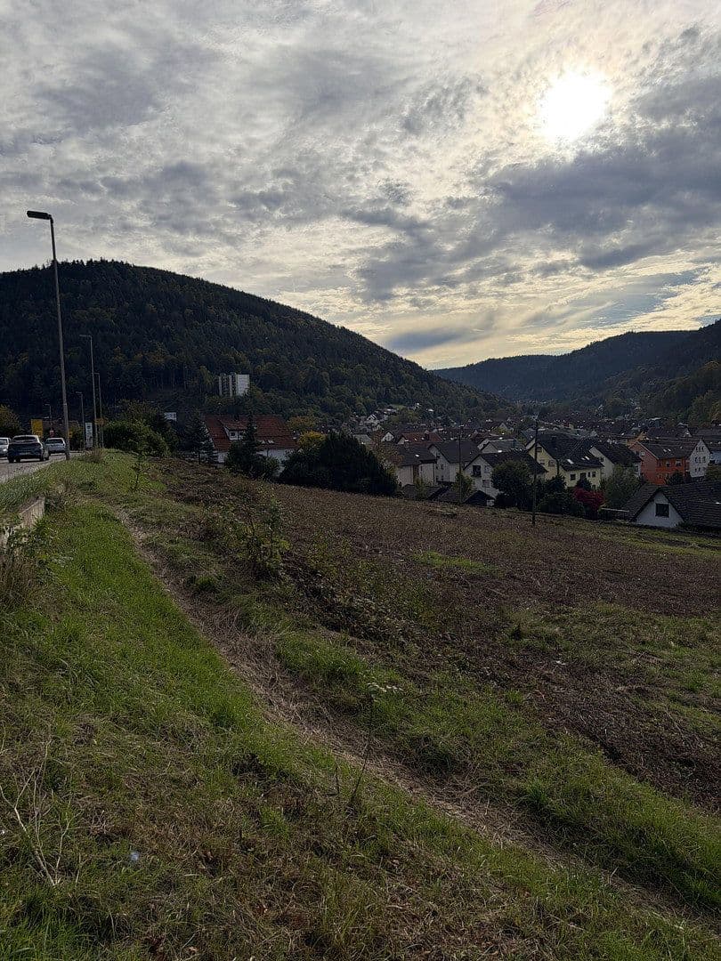 plot for sale, 4,300 m², Höfener Straße, Bad Wildbad, Baden-Württemberg plot for sale, 4,300 m², Höfener Straße, Bad Wildbad, Baden-Württemberg