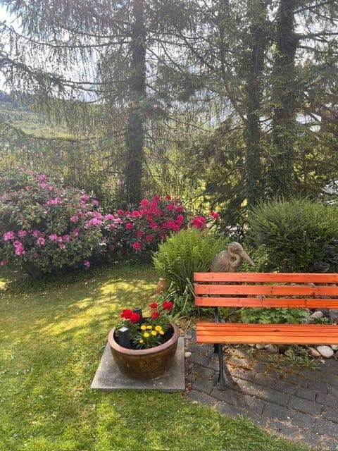 non-residential property for sale, 2,326 m², Schieder-Schwalenberg, North Rhine-Westphalia non-residential property for sale, 2,326 m², Schieder-Schwalenberg, North Rhine-Westphalia
