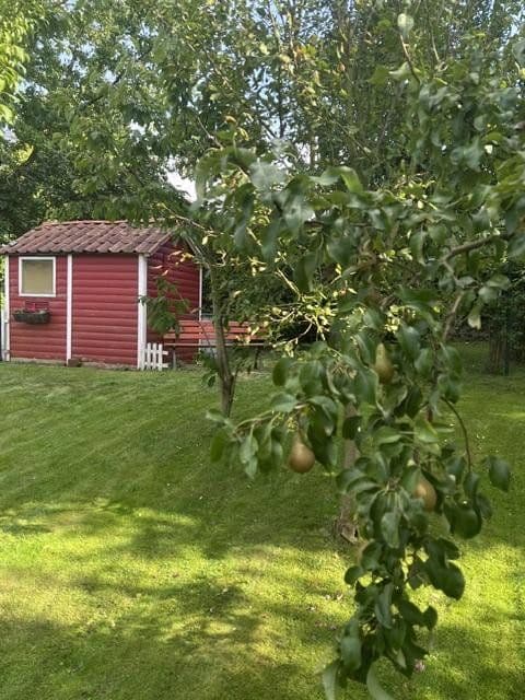 non-residential property for sale, 2,326 m², Schieder-Schwalenberg, North Rhine-Westphalia non-residential property for sale, 2,326 m², Schieder-Schwalenberg, North Rhine-Westphalia