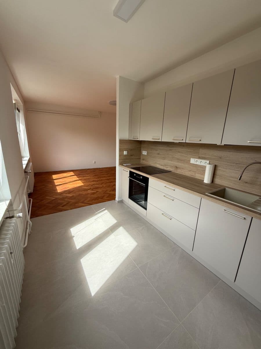 1 bedroom with open-plan kitchen flat to rent, 52 m², Úvoz, Brno, Jihomoravský Region 1 bedroom with open-plan kitchen flat to rent, 52 m², Úvoz, Brno, Jihomoravský Region