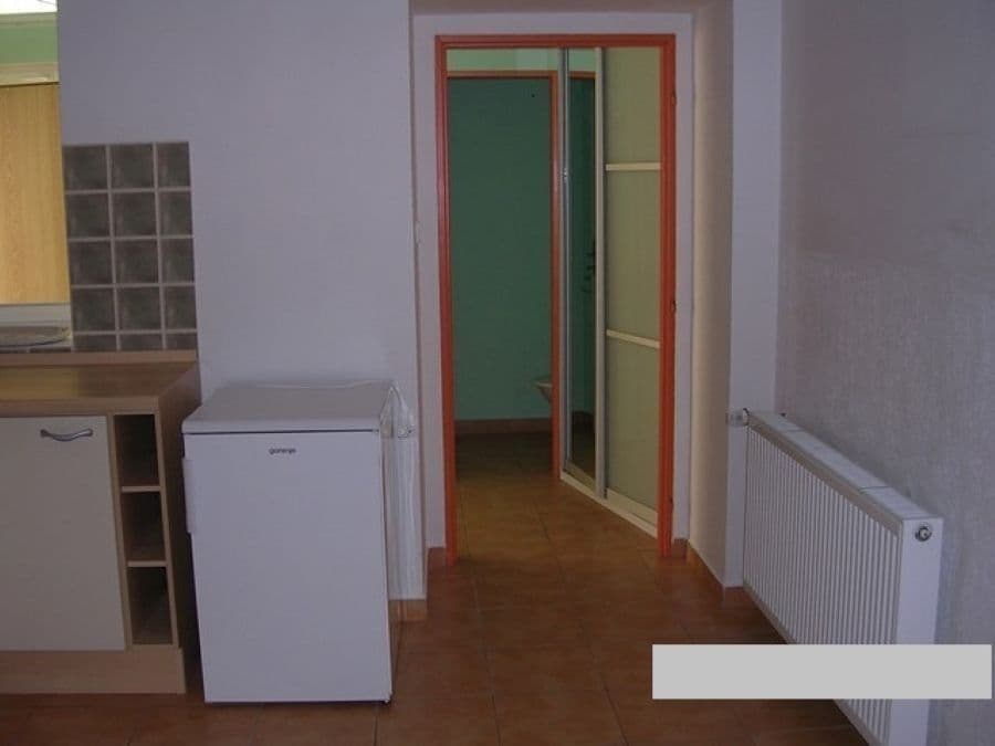 1 bedroom with open-plan kitchen flat to rent, 40 m², Na Dědince, Prague, Prague 1 bedroom with open-plan kitchen flat to rent, 40 m², Na Dědince, Prague, Prague