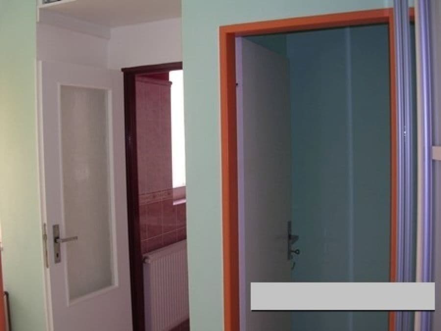 1 bedroom with open-plan kitchen flat to rent, 40 m², Na Dědince, Prague, Prague 1 bedroom with open-plan kitchen flat to rent, 40 m², Na Dědince, Prague, Prague