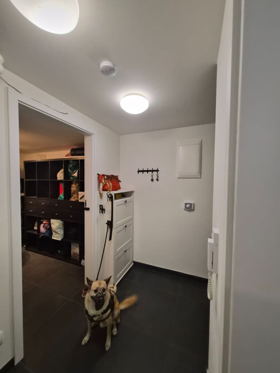 1 bedroom with open-plan kitchen flat to rent, 50 m², Holečkova, Prague, Prague 1 bedroom with open-plan kitchen flat to rent, 50 m², Holečkova, Prague, Prague
