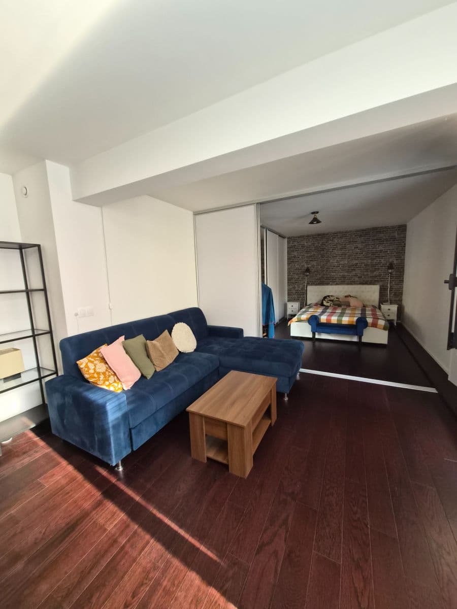 1 bedroom with open-plan kitchen flat to rent, 50 m², Holečkova, Prague, Prague 1 bedroom with open-plan kitchen flat to rent, 50 m², Holečkova, Prague, Prague
